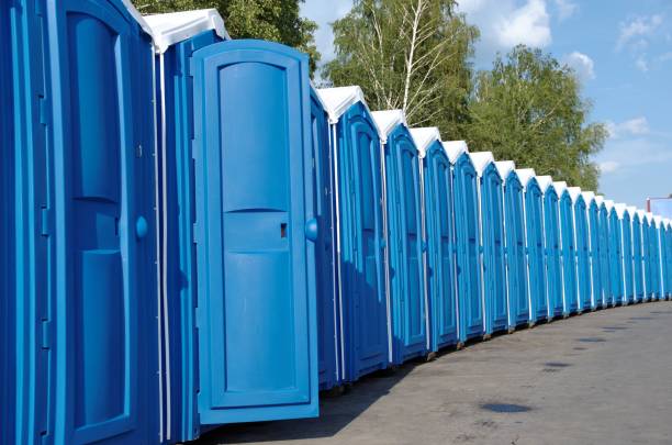 Best High-end porta potty rental  in Niles, OH